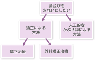 歯列矯正のチャート図