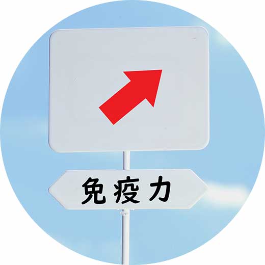 免疫力イメージ