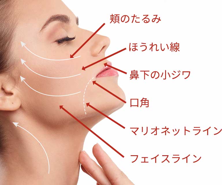 加齢により顔の変化するパーツ