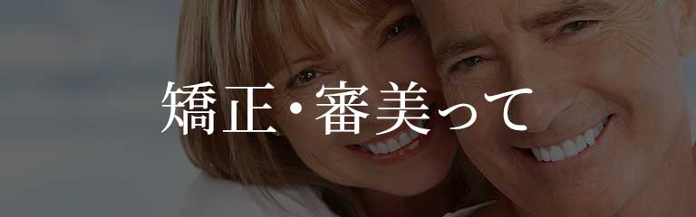 審美・矯正って?
