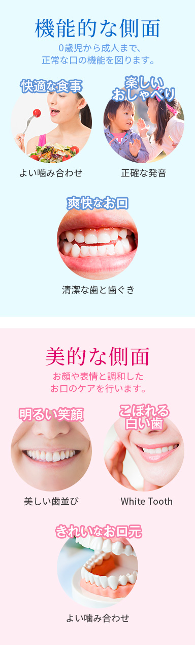 機能的な側面・美的な側面