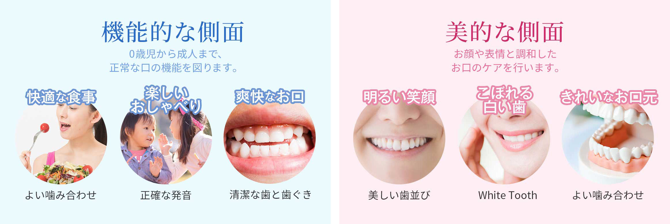 機能的な側面・美的な側面