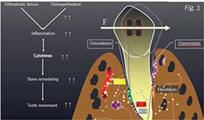 Acceleration Biology