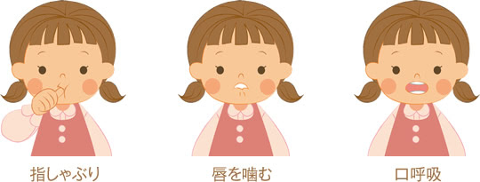 歯並びはお口の筋肉も影響を受ける